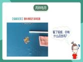 人教版物理九年级下册15.1两种电荷 课件