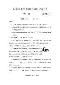 河南省安阳市林州市2024-2025学年八年级上学期11月期中物理试题