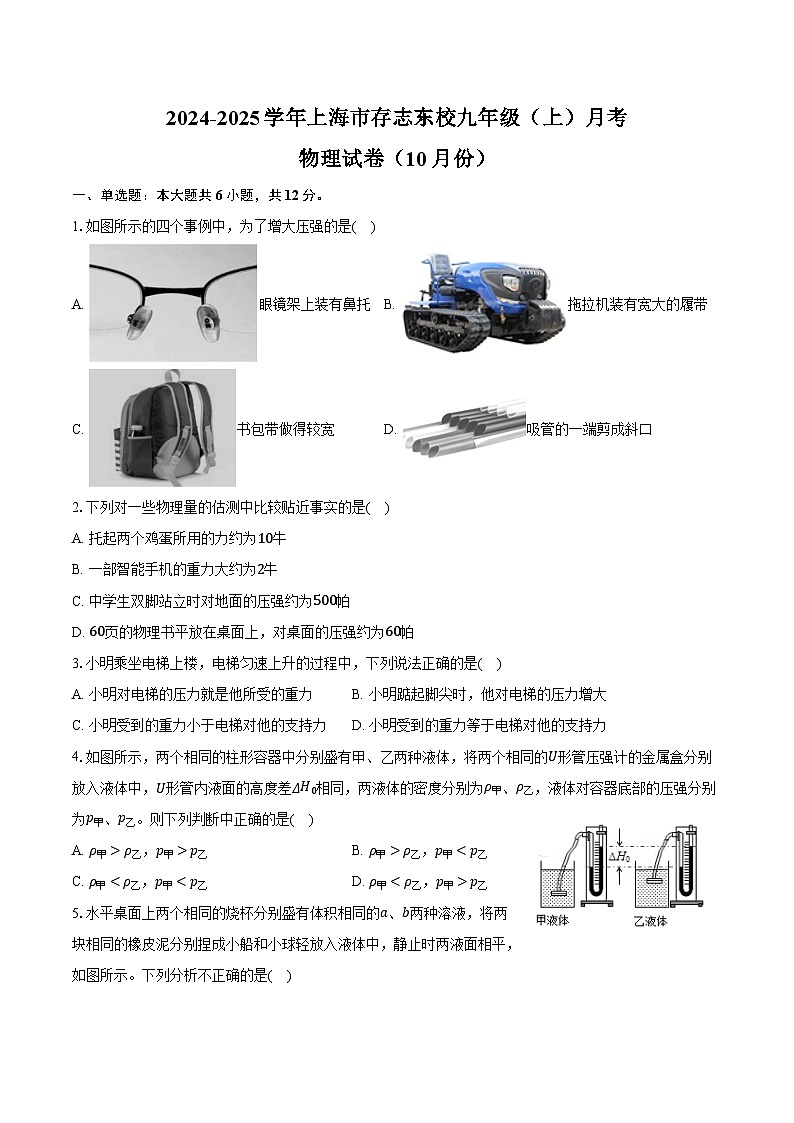 2024-2025学年上海市存志东校九年级（上）月考物理试卷（10月份）（含答案）第1页