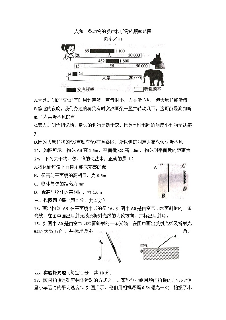 河南省南阳市桐柏县2024-2025学年八年级上学期11月期中物理试题03