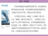 2.3 聲的利用(課件）---2024-2025學(xué)年人教版物理八年級上冊