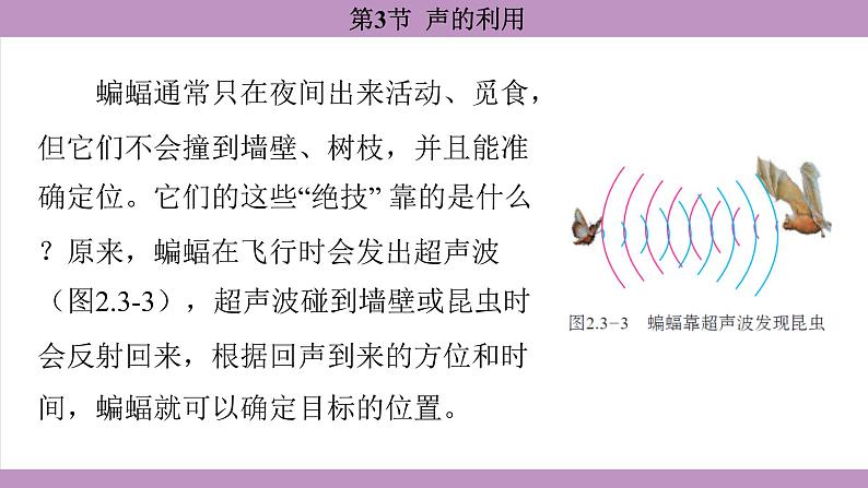 2.3 声的利用(课件）---2024-2025学年人教版物理八年级上册第6页