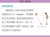 4.2 光的反射(课件）---2024-2025学年人教版物理八年级上册