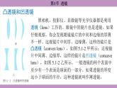 5.1 透镜(课件）---2024-2025学年人教版物理八年级上册