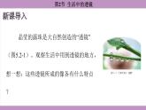 5.2 生活中的透镜(课件）---2024-2025学年人教版物理八年级上册