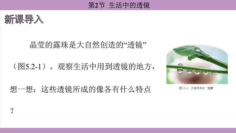 5.2 生活中的透镜(课件）---2024-2025学年人教版物理八年级上册第3页