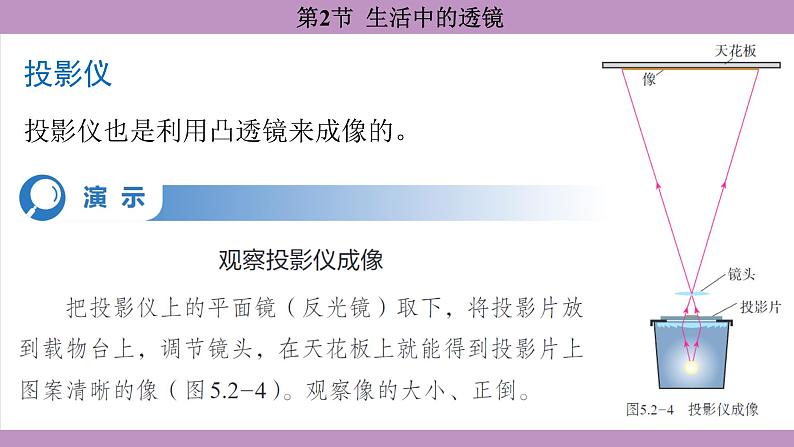 5.2 生活中的透镜(课件）---2024-2025学年人教版物理八年级上册第8页