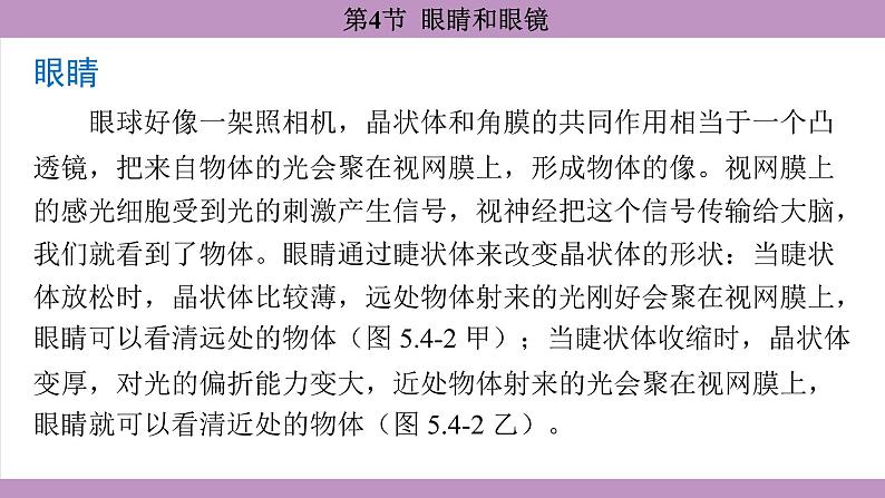 5.4 眼睛和眼镜(课件）---2024-2025学年人教版物理八年级上册第5页