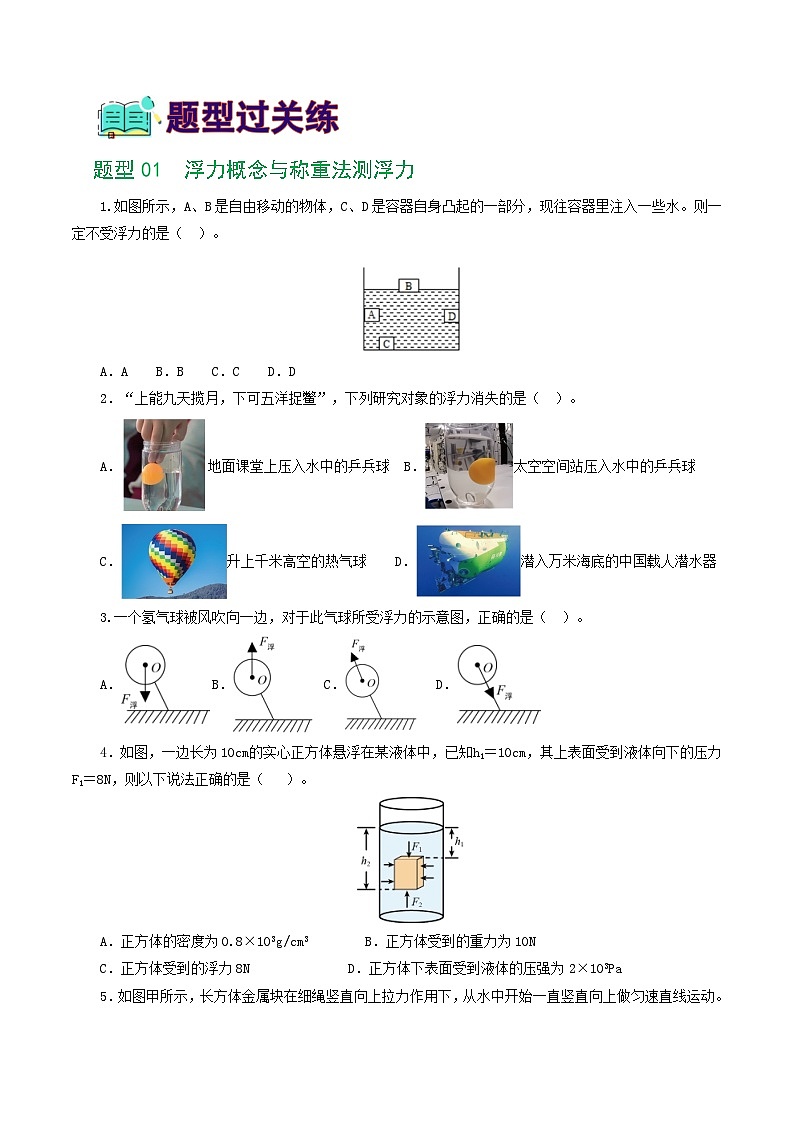 2025年中考物理一轮复习练与测专题11  浮力（7题型）（练习）（原卷版）第2页