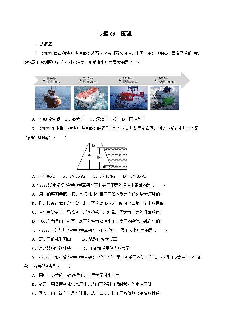 2025年中考物理一轮复习讲与练专题09 压强（真题训练）（原卷版）第1页