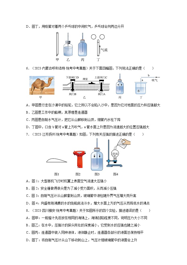 2025年中考物理一轮复习讲与练专题09 压强（真题训练）（原卷版）第2页