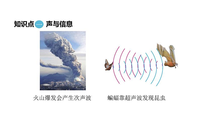 2.3声的利用课件-2024-2025学年物理人教版八年级上册04