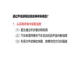 2.3聲的利用課件-2024-2025學(xué)年物理人教版八年級上冊