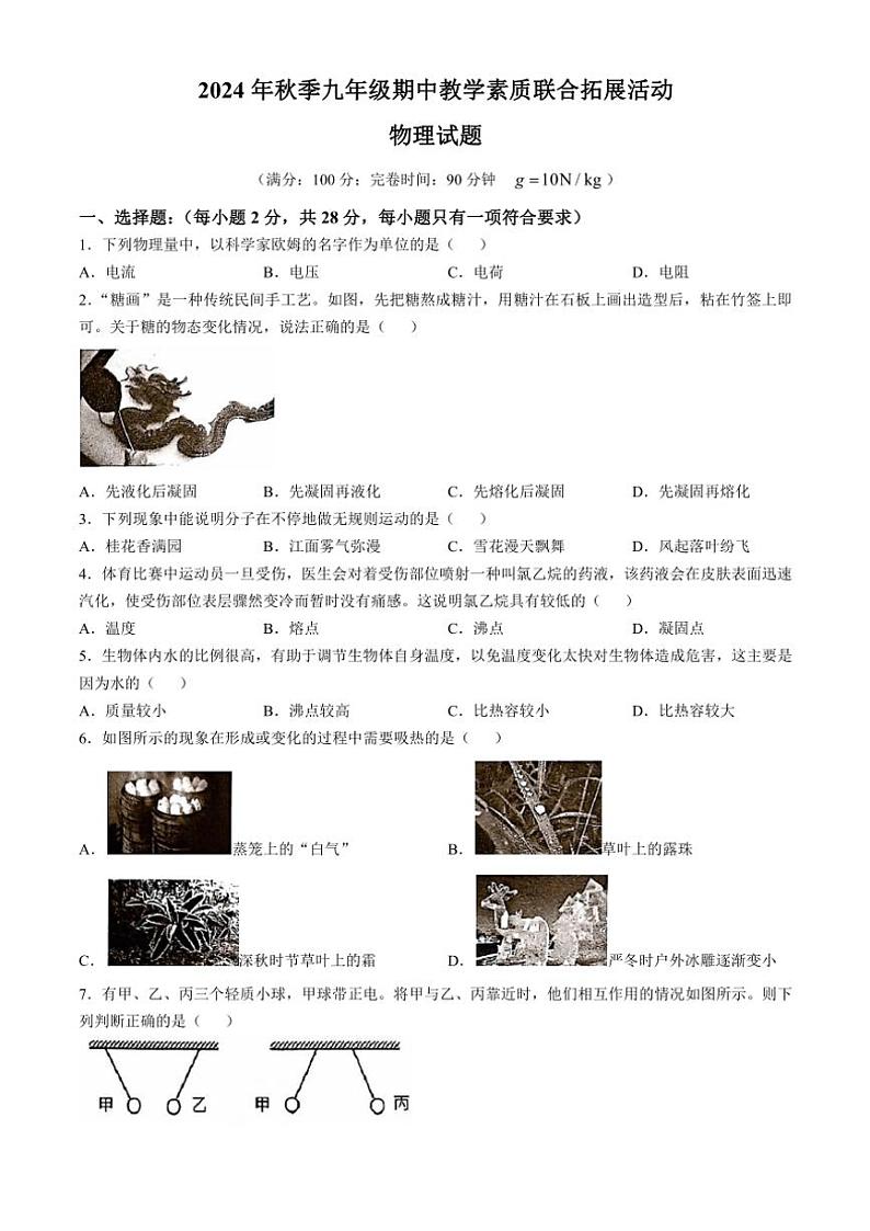 福建省泉州市泉港区2024～2025学年九年级上学期11月期中物理试题（含答案）第1页