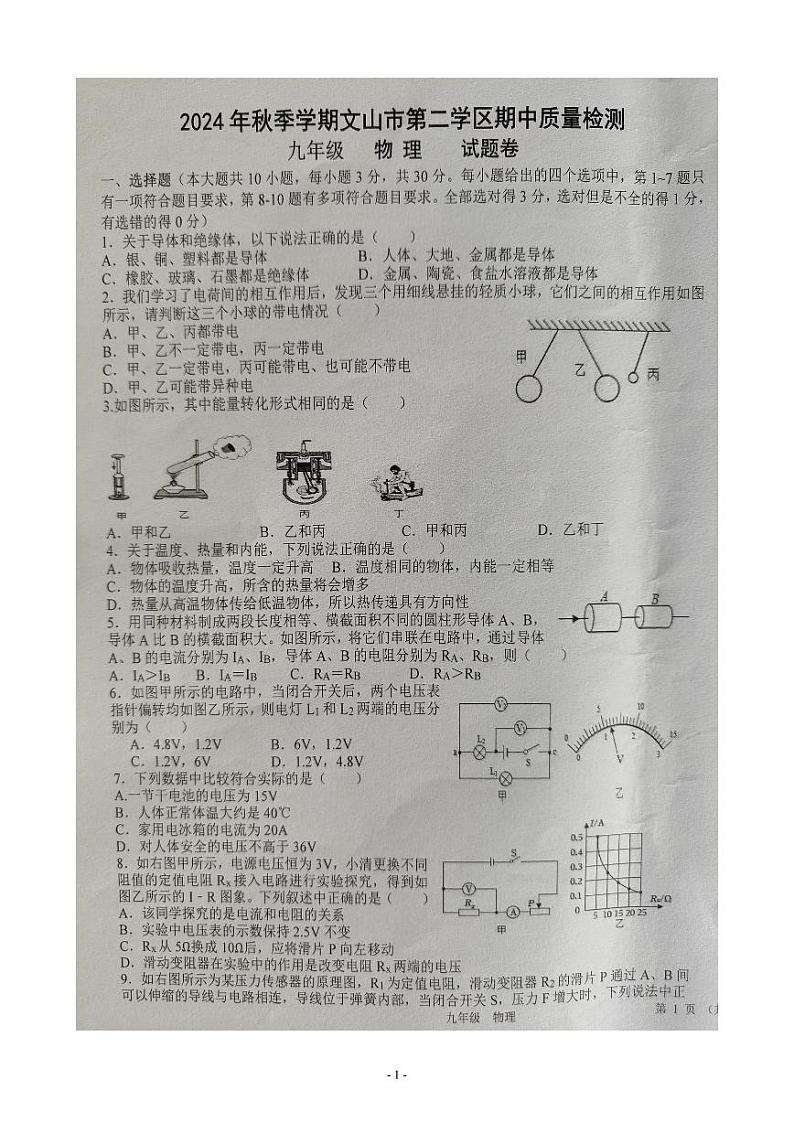 云南省文山壮族苗族自治州文山市第二学区2024-2025学年九年级上学期11月期中物理试题第1页