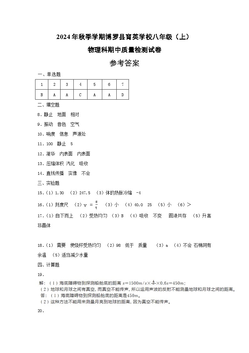 广东省惠州市博罗县育英学校2024-2025学年八年级上学期11月期中物理试题01