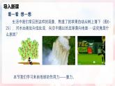 6.3  来自地球的力—初中物理八年级全一册 同步教学课件（沪科版2024）