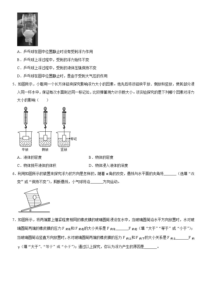 第10章 浮力（高频考点精讲）（原卷版）-2023年中考物理一轮复习高频考点精讲与易错题精选（全国通用）第3页