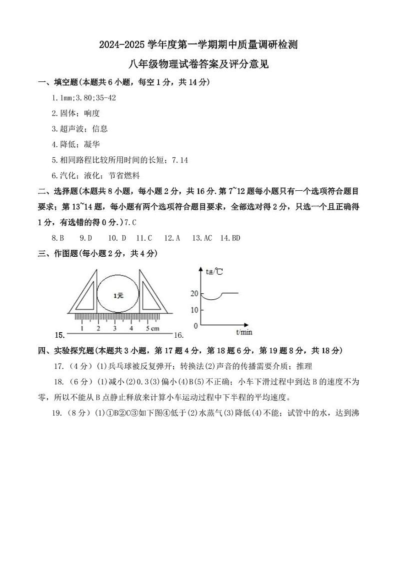 河南省洛阳市伊川县2024-2025学年八年级上学期11月期中物理试题01