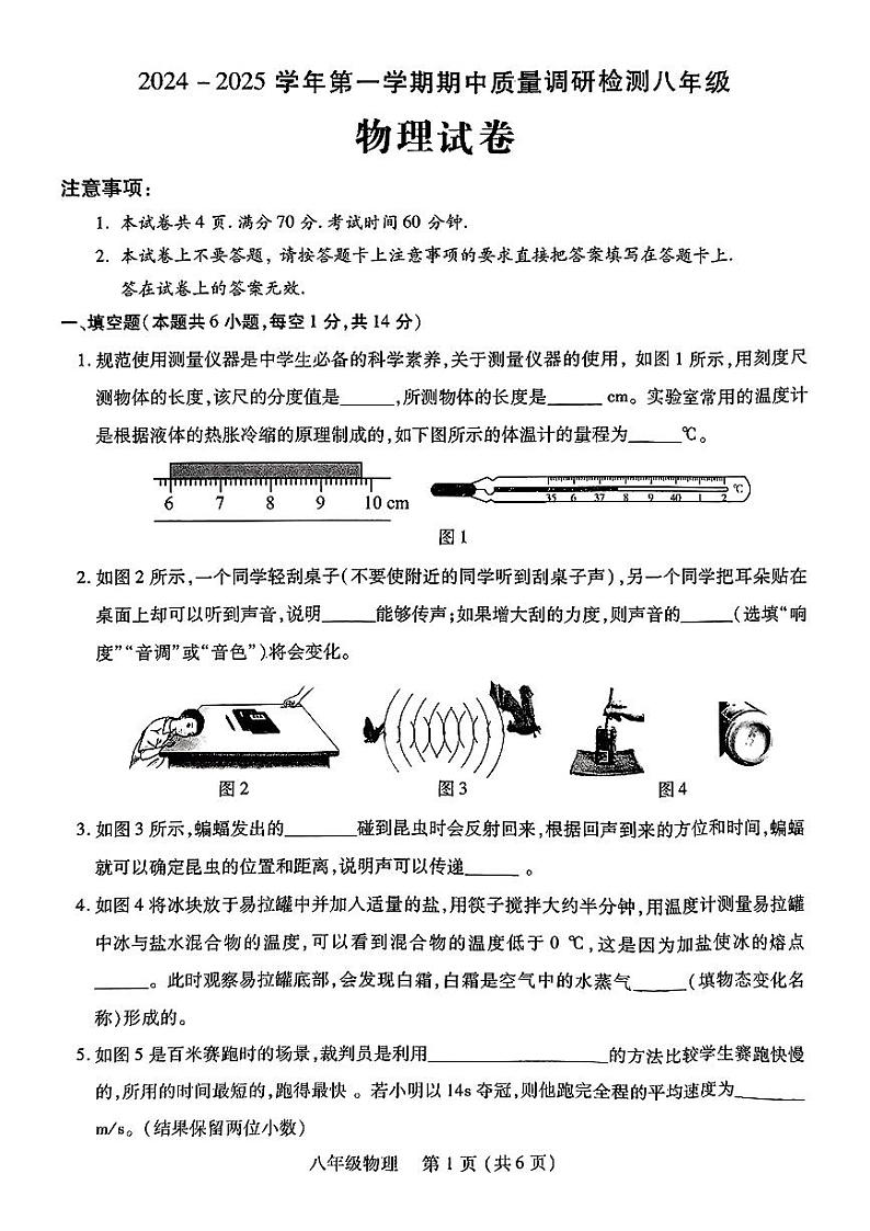 河南省洛阳市伊川县2024-2025学年八年级上学期11月期中物理试题01