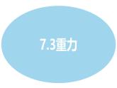 新人教版物理八年級下冊7.3 重力 課件+教案+同步練習(xí)+學(xué)案（含答案）