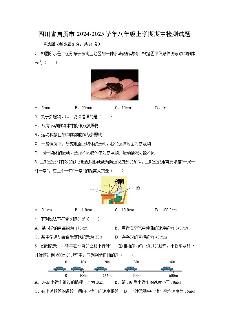 2024-2025学年四川省自贡市田家炳八年级(上)期中检测+物理试卷第1页