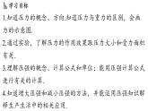 8.1 壓力的作用效果 課件 ---2024-2025學(xué)年物理滬科版八年級全一冊