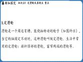 11.2 滑轮及其应用 课件 ---2024-2025学年物理沪科版八年级全一册