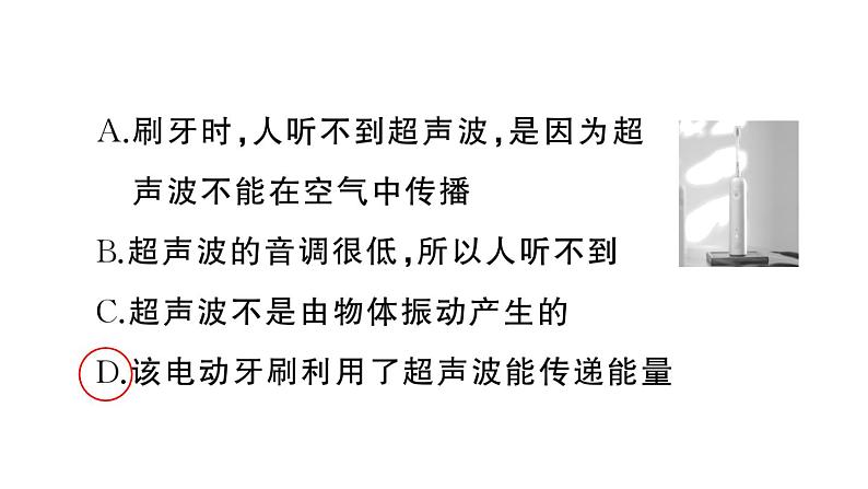 初中物理新人教版八年级上册期末复习（二） 声现象作业课件2024秋季第6页