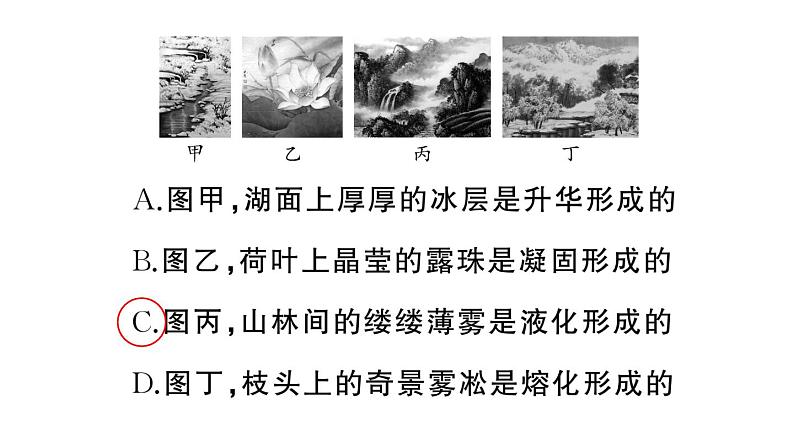 初中物理新人教版八年级上册期末复习（三） 物态变化作业课件2024秋季第6页