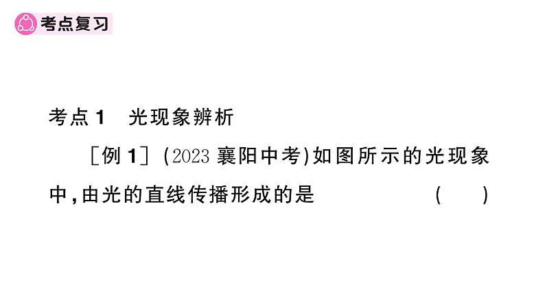 初中物理新人教版八年级上册期末复习（四） 光现象作业课件2024秋季第2页