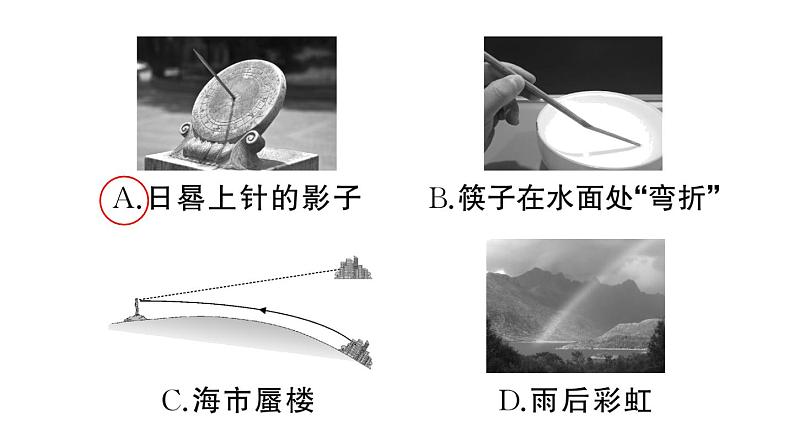 初中物理新人教版八年级上册期末复习（四） 光现象作业课件2024秋季第3页