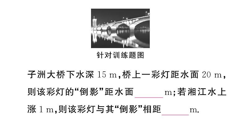 初中物理新人教版八年级上册期末复习（四） 光现象作业课件2024秋季第6页