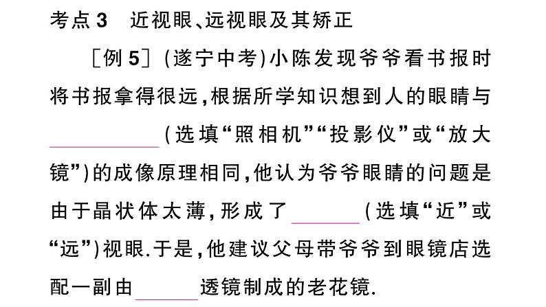 初中物理新人教版八年级上册期末复习（五） 透镜及其应用作业课件2024秋季第8页