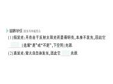 初中物理新人教版八年級(jí)上冊(cè)第四章第一節(jié) 光的直線傳播作業(yè)課件2024秋