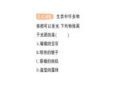 初中物理新人教版八年級(jí)上冊(cè)第四章第一節(jié) 光的直線傳播作業(yè)課件2024秋