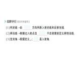 初中物理新人教版八年级上册第四章第二节 光的反射作业课件2024秋