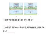 初中物理新人教版八年級上冊第四章第四節(jié) 光的折射作業(yè)課件2024秋