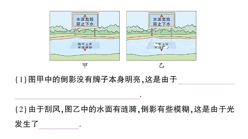 初中物理新人教版八年级上册第四章第四节 光的折射作业课件2024秋第3页