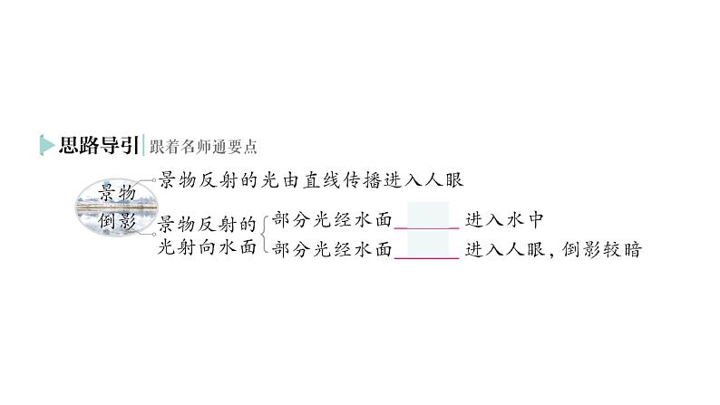 初中物理新人教版八年级上册第四章第四节 光的折射作业课件2024秋第4页