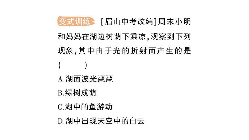 初中物理新人教版八年级上册第四章第四节 光的折射作业课件2024秋第5页