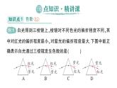 初中物理新人教版八年級上冊第四章第五節(jié) 光的色散作業(yè)課件2024秋