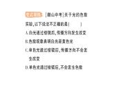初中物理新人教版八年級上冊第四章第五節(jié) 光的色散作業(yè)課件2024秋