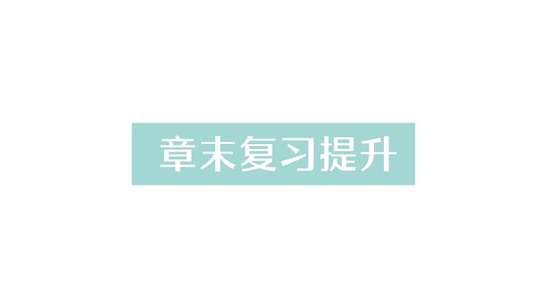 初中物理新人教版八年级上册第五章 透镜及其应用复习提升作业课件2024秋第1页