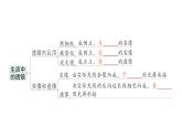 初中物理新人教版八年級(jí)上冊(cè)第五章 透鏡及其應(yīng)用復(fù)習(xí)提升作業(yè)課件2024秋