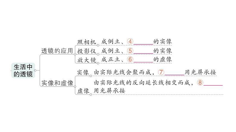 初中物理新人教版八年级上册第五章 透镜及其应用复习提升作业课件2024秋第3页