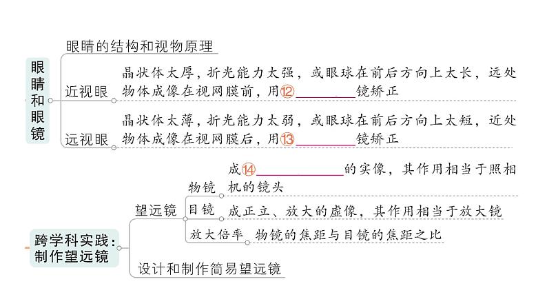 初中物理新人教版八年级上册第五章 透镜及其应用复习提升作业课件2024秋第5页