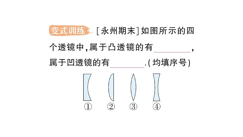 初中物理新人教版八年级上册第五章第一节 透镜作业课件2024秋第4页