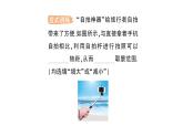 初中物理新人教版八年級(jí)上冊(cè)第五章第二節(jié) 生活中的透鏡作業(yè)課件2024秋