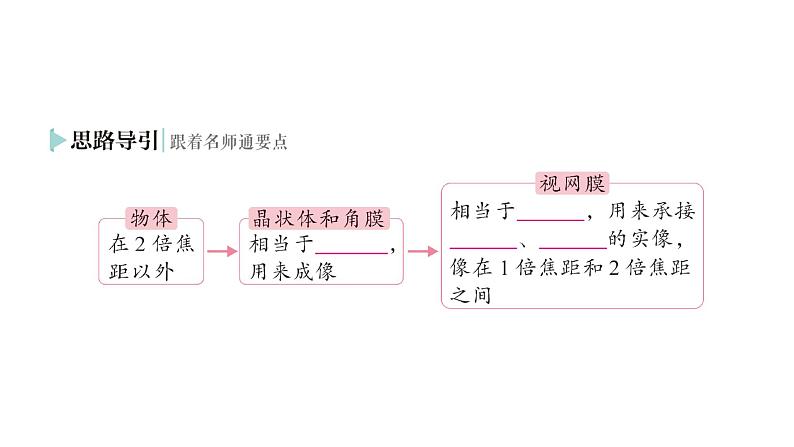 初中物理新人教版八年级上册第五章第四节 眼睛和眼镜作业课件2024秋第3页